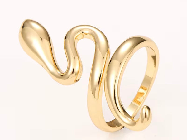 Snake Shaped Open Ring | Twelfth XII