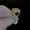 Iced Out Moissanite Ring | Twelfth XII